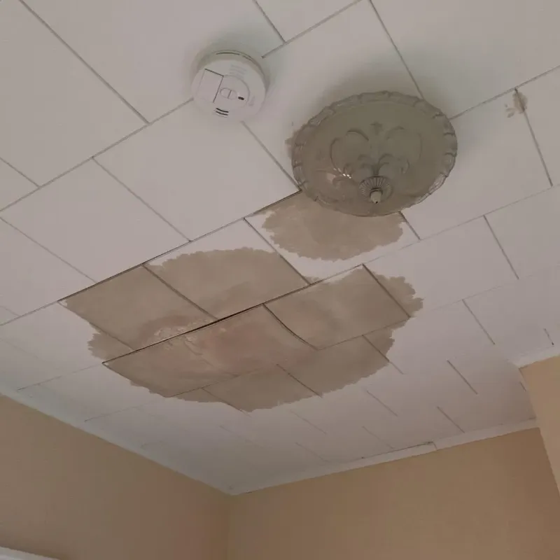 Ceiling Water Damage Repair in Parkville, MO