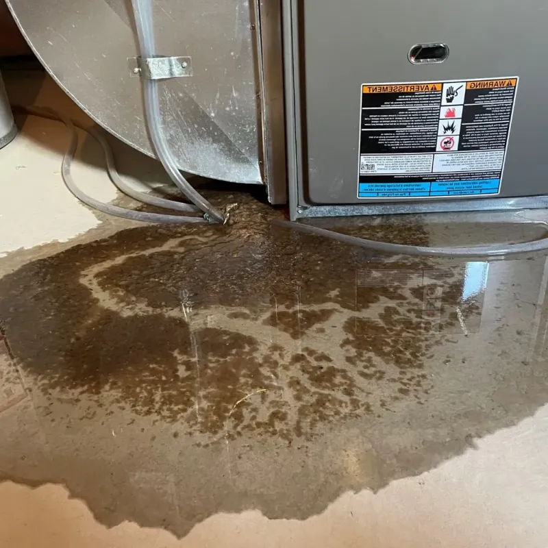 Pipe Burst and Leak Restoration in Parkville, MO