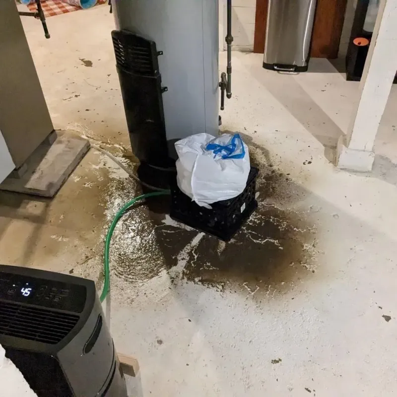Sewage Backup Cleanup Service in Parkville, MO